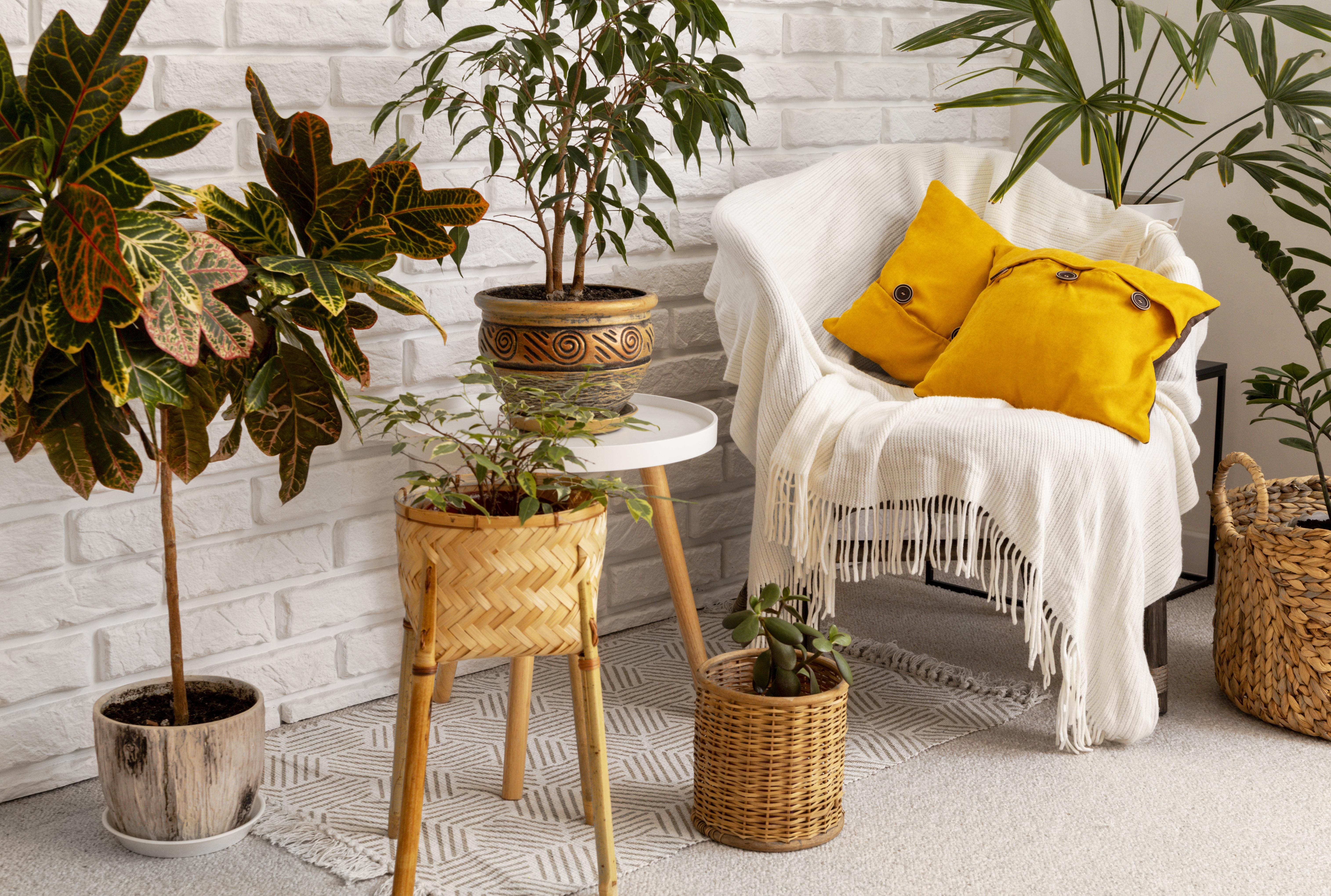 Décoration esthétique